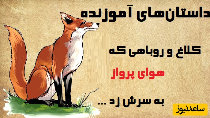 حکایت‌های خواندنی/ باحالترین داستان کلیله و دمنه؛ روباهی که هوای پرواز به سرش زد و .../ وای به حال کلاغها..