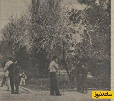 عکس‌های اختصاصی از تهران در بهار 50سال پیش!