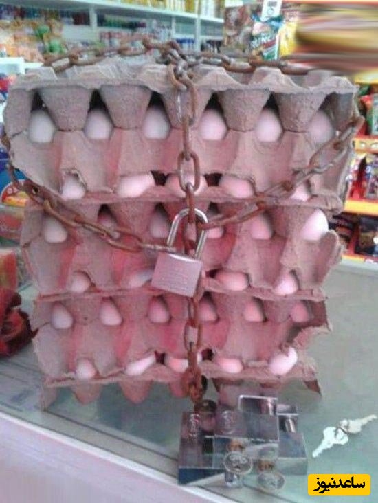 خلاقیت عجیب یک بقال برای جلوگیری از سرقت تخم مرغ 