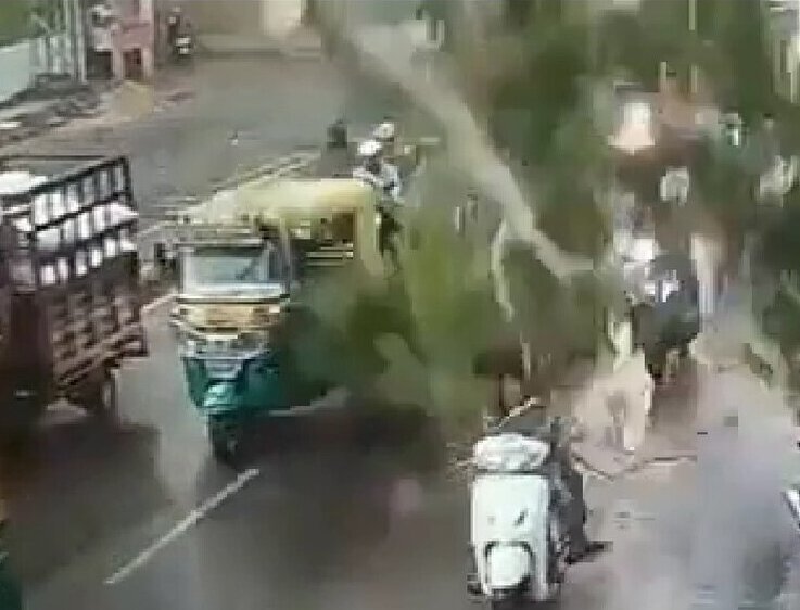 فیلم سقوط ناگهانی درخت روی سر سه موتورسوار