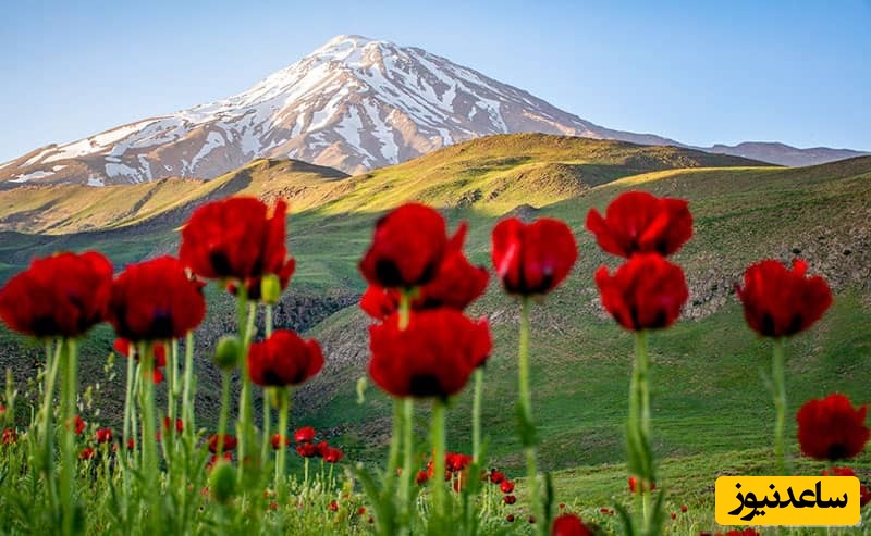 دشت لار