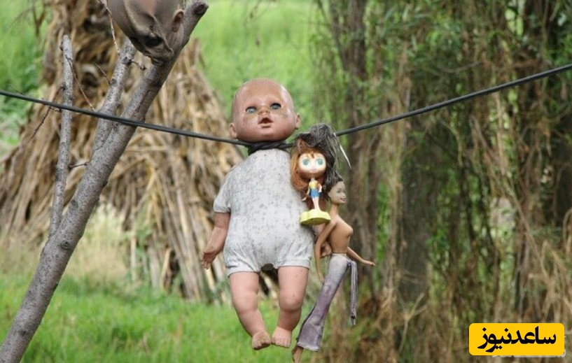جزیره عروسک