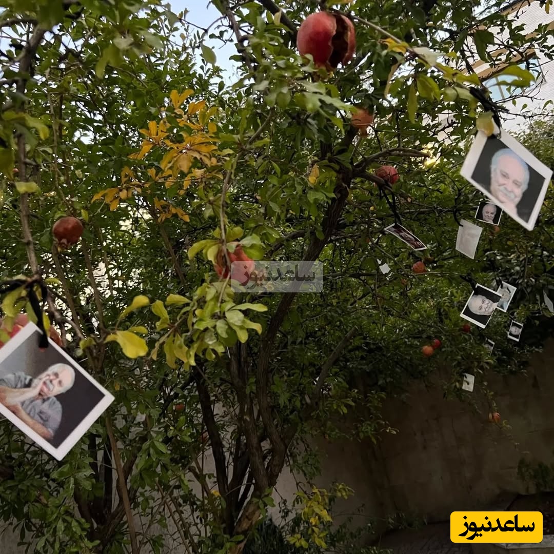 خونه محمد کاسبی