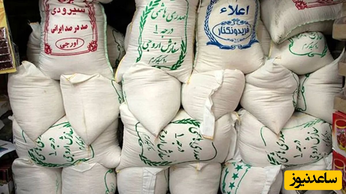سرپرست خانوار دیگر نگران تأمین معیشت نباشید!/ برنج قیمتش نصف شد!
