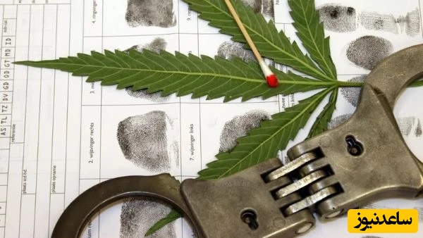 ماری‌جوانا