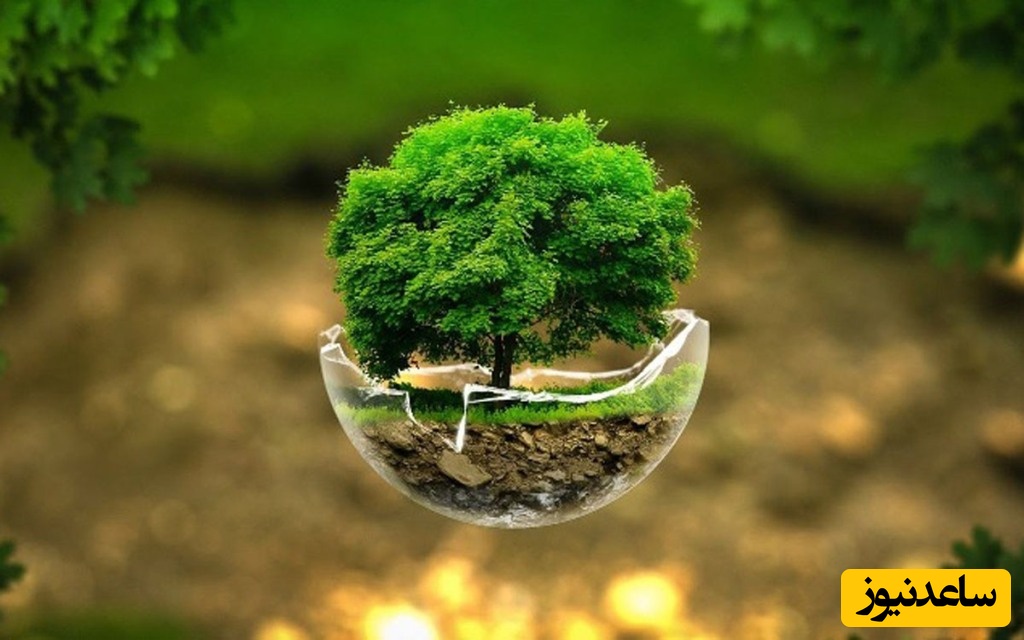 دانلود رایگان دفترچه سوالات و پاسخنامه آزمون دکتری محیط زیست - برنامه ریزی از سال 93 تا 96