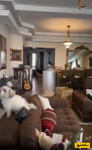 منزل نسرین مقانلو