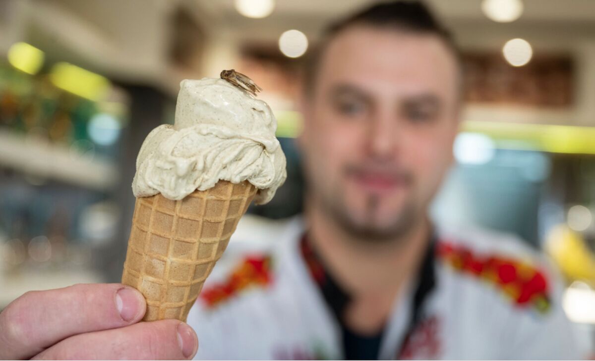 بستنی با طعم جیرجیرک!/ منوی عجیب یک بستنی فروشی + عکس