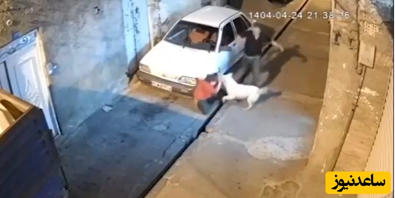 ببینید| لحظه حمله وحشتناک و ناگهانی سگ به دختر بچه تهرانی درست در جلوی در خانه