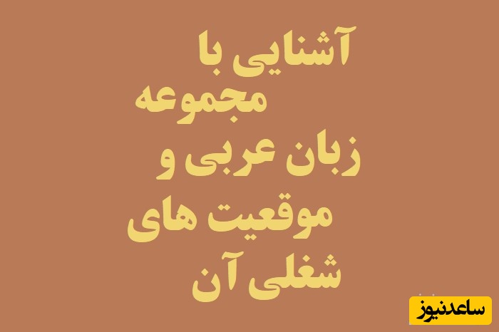 آشنایی با رشته مجموعه زبان عربی و بازار کار آن