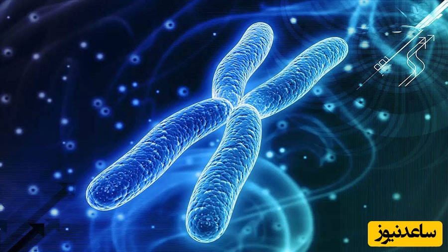 منابع و دروس رشته بیوتکنولوژی پزشکی و ضرایب آن در مقطع کارشناسی ارشد