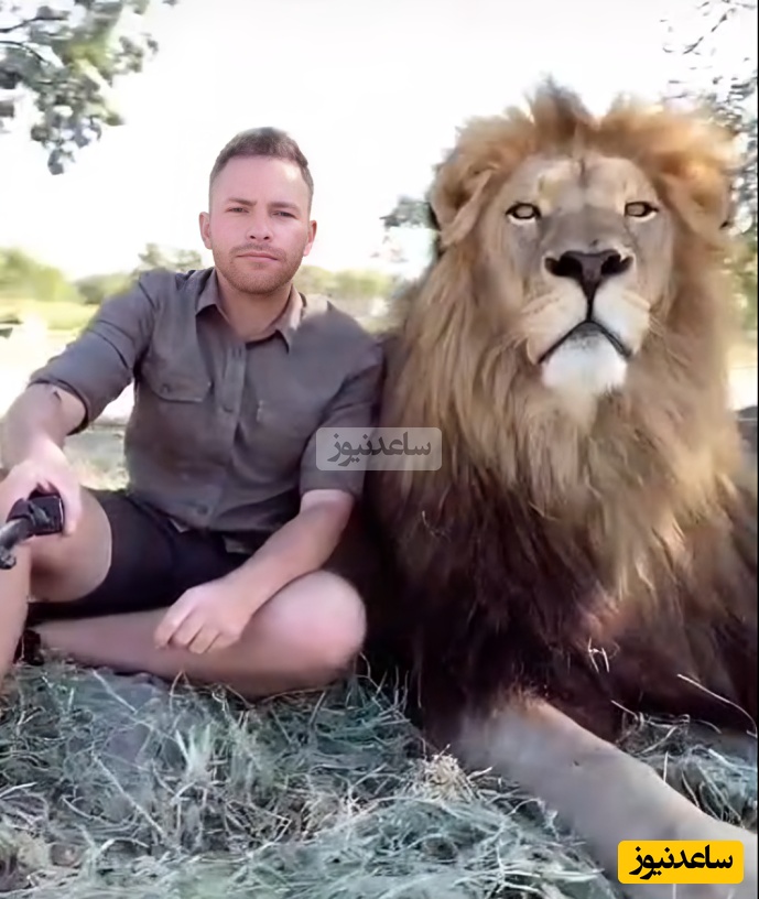 (ویدئو) نگاهی به جذابیت حیات وحش آفریقا با بلاگر محیط‌بان / این قسمت: ناز کردن شیر 270 کیلویی با ابهت ولی لوس🦁