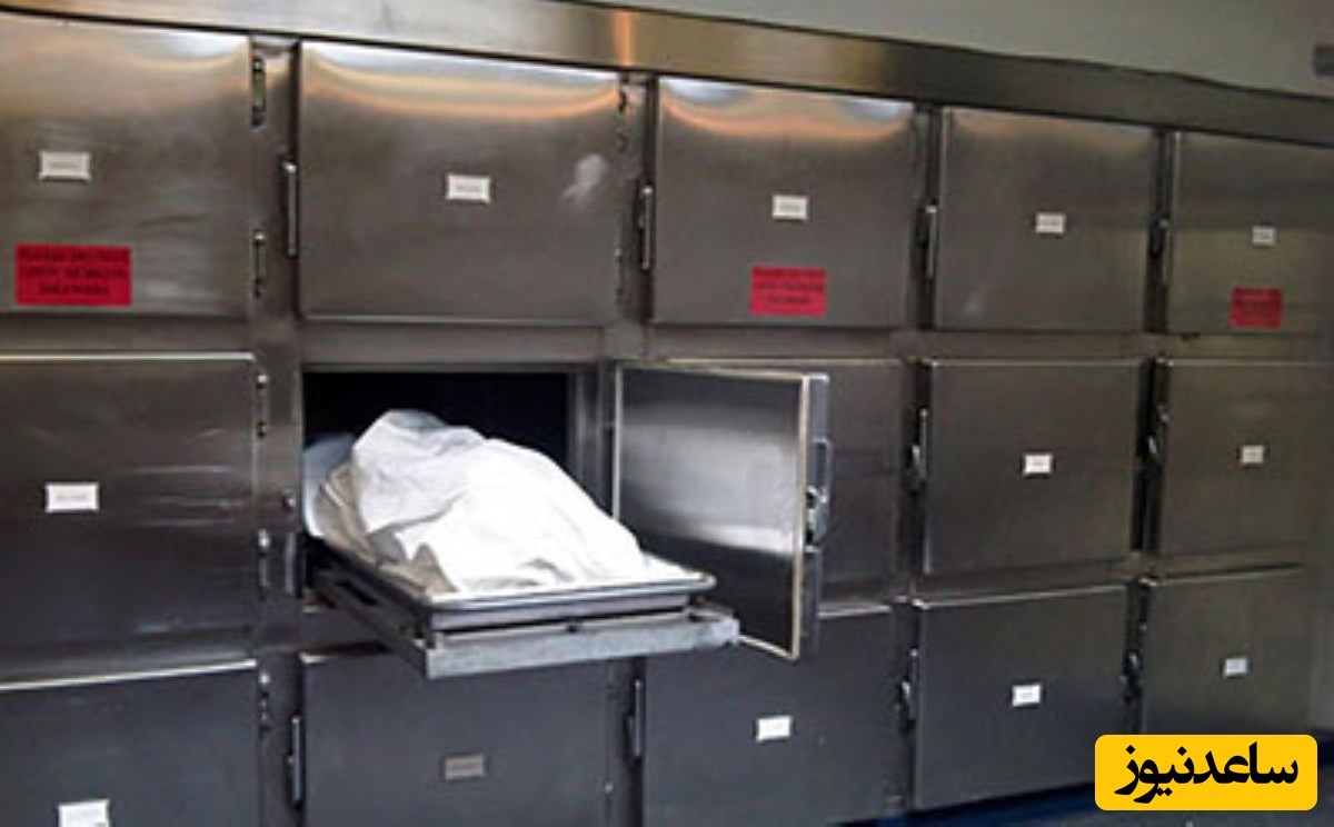 صحنه‌سازی به سبک منافقین؛ ایجاد جای گلوله ژ3 با قیچی بر روی سر یک شهید!/ این جنایت هولناک رو از زبان برادر شهید بشنوید+ویدیو