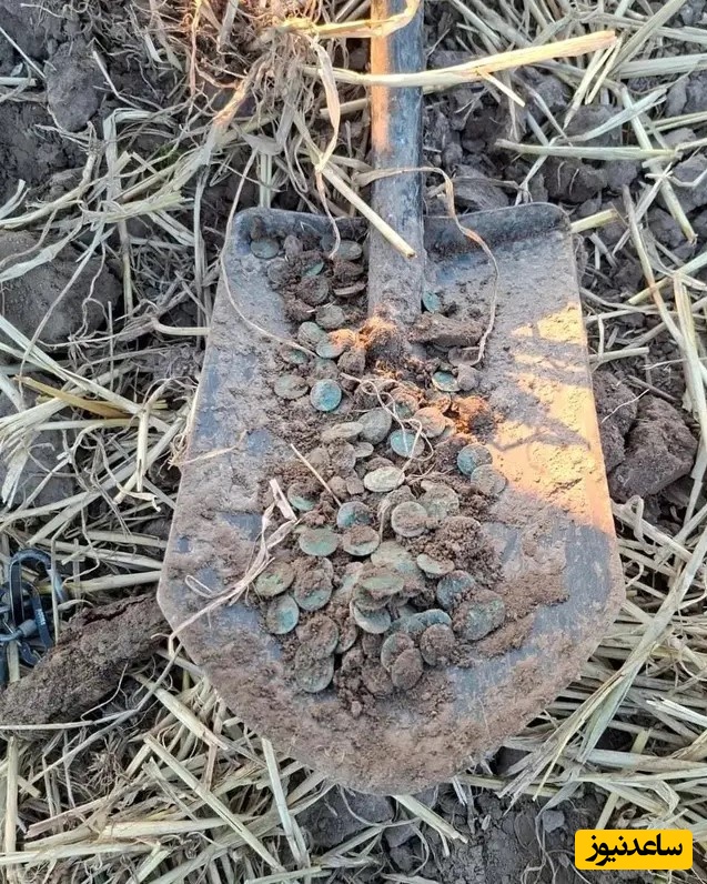 رویای طلایی در دل خاک؛ کشاورزی که با بیل به گنج 2100 ساله رسید!