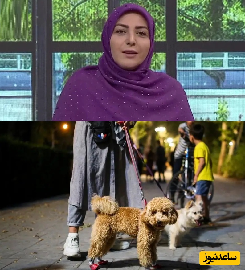 تیکه سنگین المیرا شریفی‌مقدم به قانون ممنوعیت سگ گردانی روی آنتن صدا و سیما