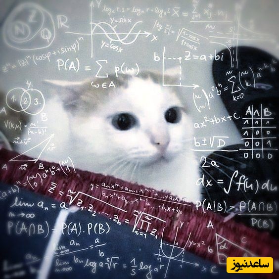 دانلود رایگان دفترچه سوالات عمومی و تخصصی کنکور سراسری گروه ریاضی و فنی/ سال‌ 1391