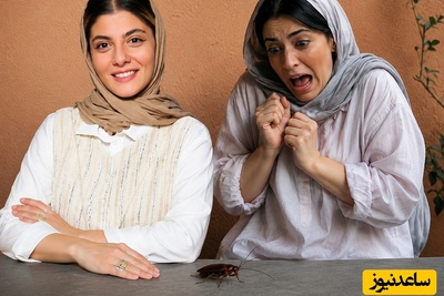 غافلگیری خنده‌دار در برنامه پرمخاطب حامد آهنگی؛ فرارِ اضطراب‌آور شیدا خلیق و خونسردی عجیب مهسا طهماسبی با دین سوسک سوژه شد!