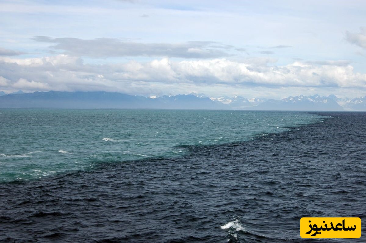 قایقرانی تو شگفت انگیزترین دریای دنیا/ آدم از دیدن این صحنه سیر نمیشه+ویدیو