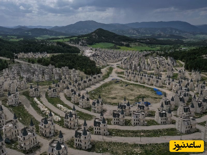 خانه هایی به شکل دیزنی لند