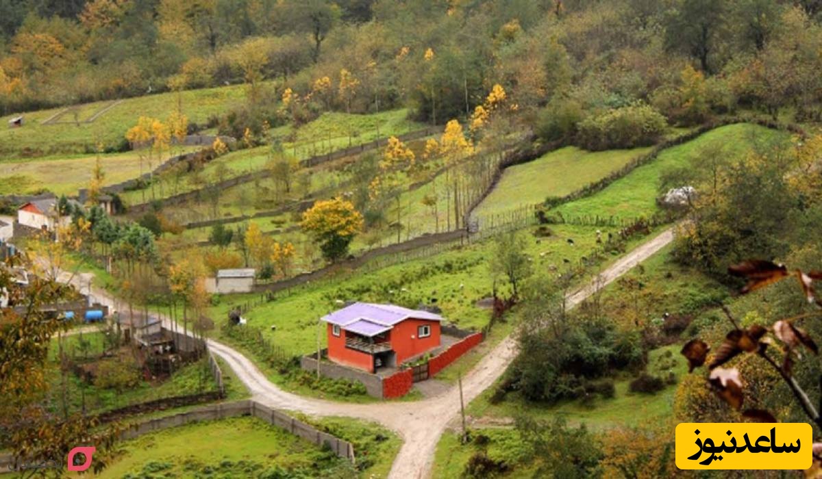 روستای لاویج