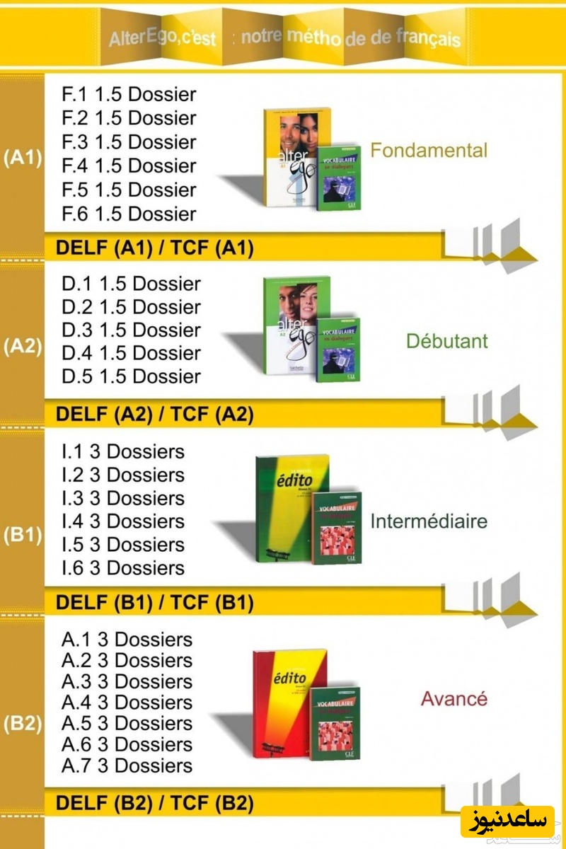 چارت آموزشی