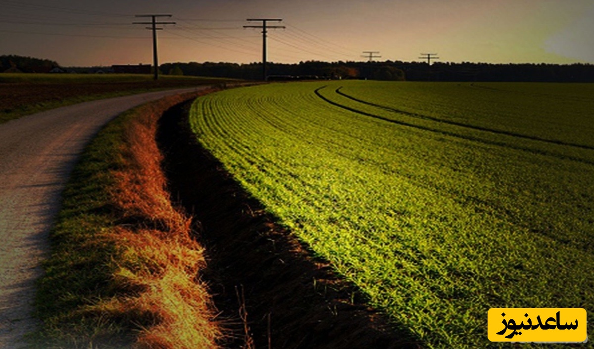 تصرف عدوانی اراضی ملی چه مجازاتی دارد؟