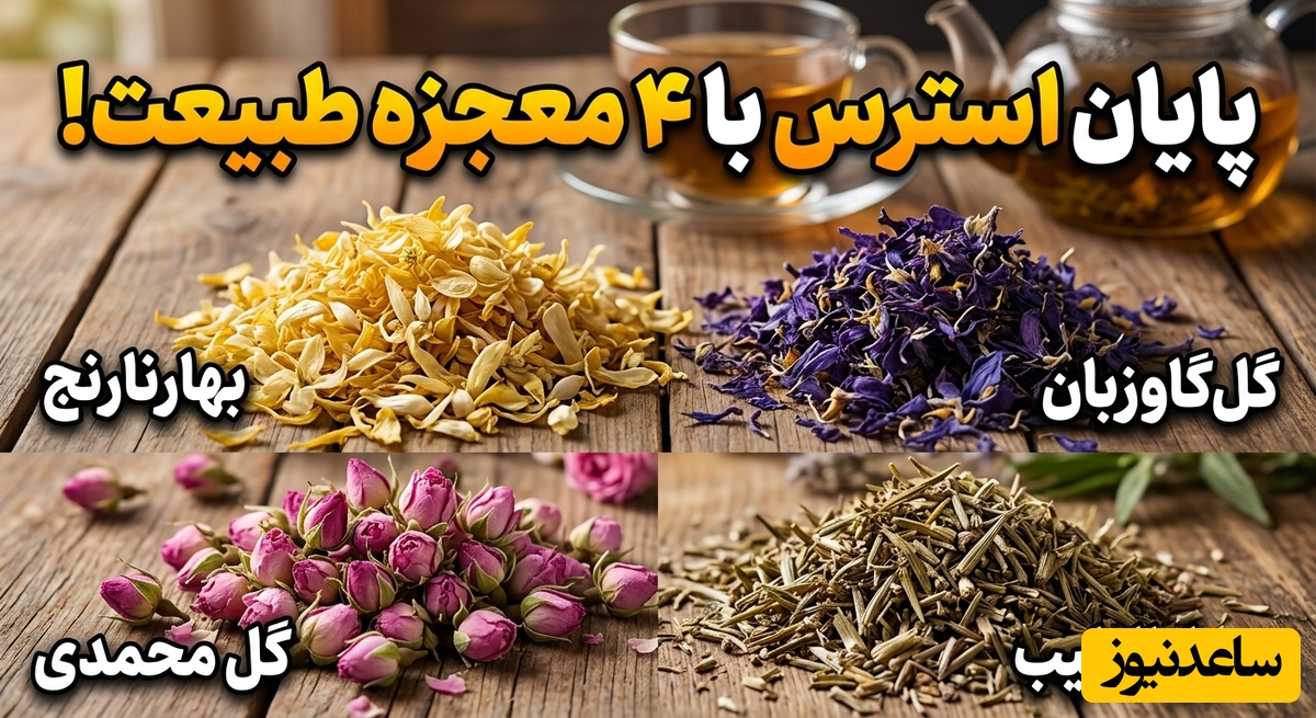 (ویدئو) راز قدیمی ایرانی‌ها برای آرامش شبانه؛ ترکیبی که استرس را در چند دقیقه محو می‌کند