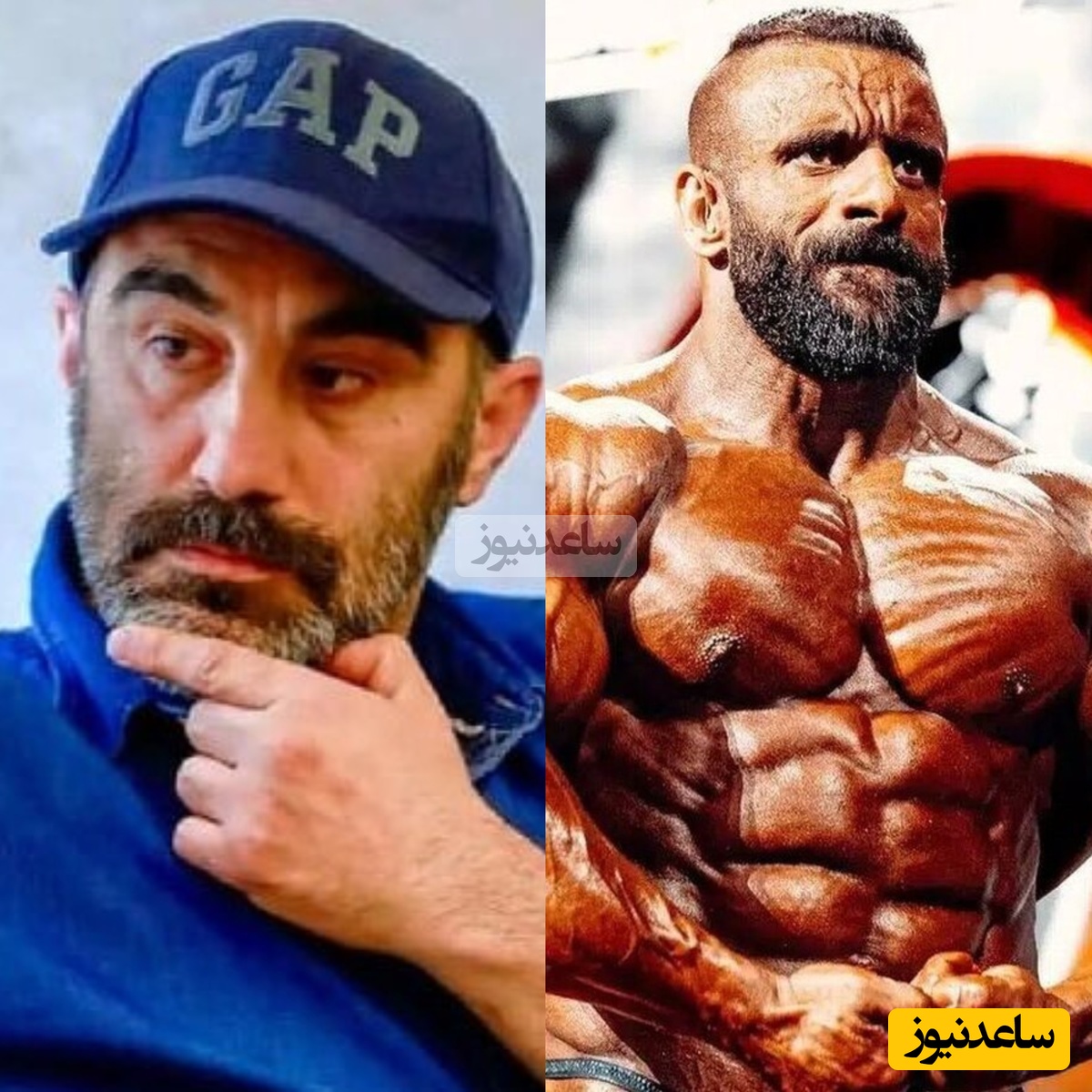 از نقی معمولی به گرگ پارسی: هادی سرت رو بالا بگیر تو به مافیا باختی؛ گرگ رو از هر طرف بخونی گرگه...+ویدیو