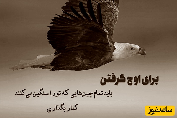 پیام امروز کائنات؛ اگر به فکر تسلیم شدن هستی
فقط یک لحظه دیگر برای این تصمیم وقت بگذار
شاید ارزش ایستادگی داشته باشد/ پیام انگیزشی امروز 11 آبان 1404+ ویدیو