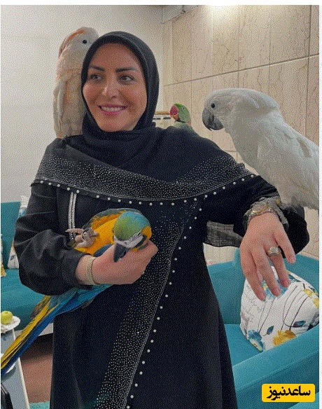 اعتراض شدید المیرا شریفی‌مقدم به گرانی خامه شکلاتی+ویدیو