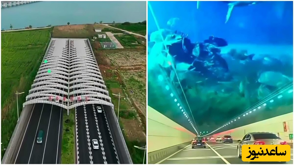 (ویدئو) وقتی مهندسی چینی رکوردها را جابجا می‌کند؛ شاهکار 500 میلیون دلاری که سفر نیم‌ساعته را به 5 دقیقه رسانده!