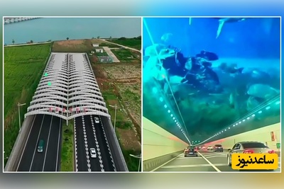 (ویدئو)وقتی مهندسی چینی رکوردها را جابجا می‌کند؛ شاهکار 500 میلیون دلاری که سفر نیم‌ساعته را به 5 دقیقه رسانده!