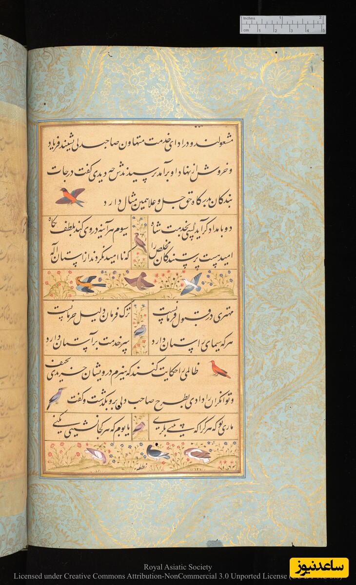 گلستان سعدی به خط محمدحسین کشمیری و نقاشی مانوهار داس نسخهٔ کتابخانهٔ دیجیتال دانشگاه کمبریج
