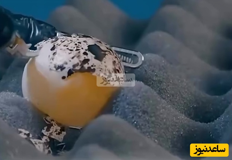 دقت ربات ها به سطحی رسیده است که اکنون قادر به انجام جراحی روی یک تخم مرغ بدون شکستن ان هستند! +ویدیو