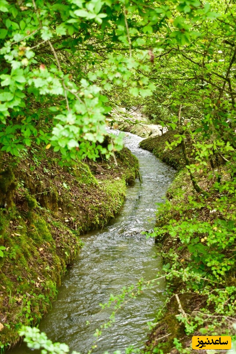 دیدن آب جوی در خواب چه تعبیری دارد؟ /  تعبیر خواب آب