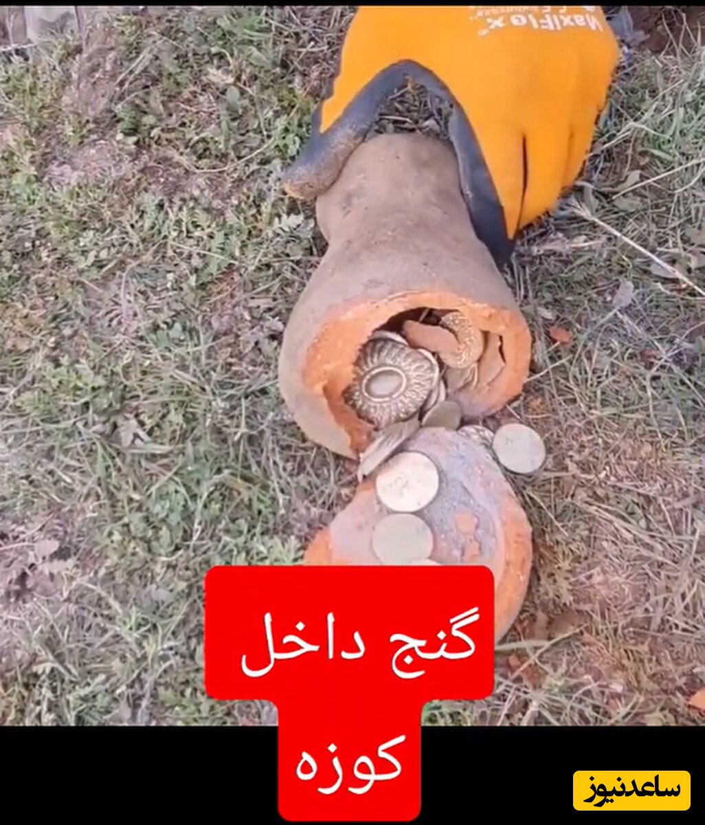 (فیلم) لحظه هیجان انگیز کشف گنج و کوزه‌ای پر از سکه در ترکیه / گنج یاب‌ها چه ذوقی هم می کنند!