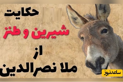 لطیفه های قدیمی و شیرین/ داستان کوتاه ولی خنده دار ملانصرالدین و صدتا خر 🤣