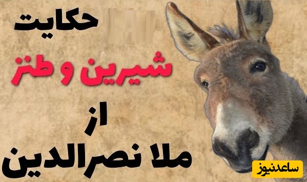 لطیفه های قدیمی و شیرین/ داستان کوتاه ولی خنده دار ملانصرالدین و صدتا خر 🤣