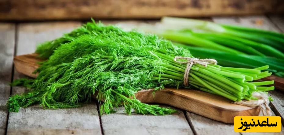 فواید و عوارض مصرف شوید در دوران بارداری