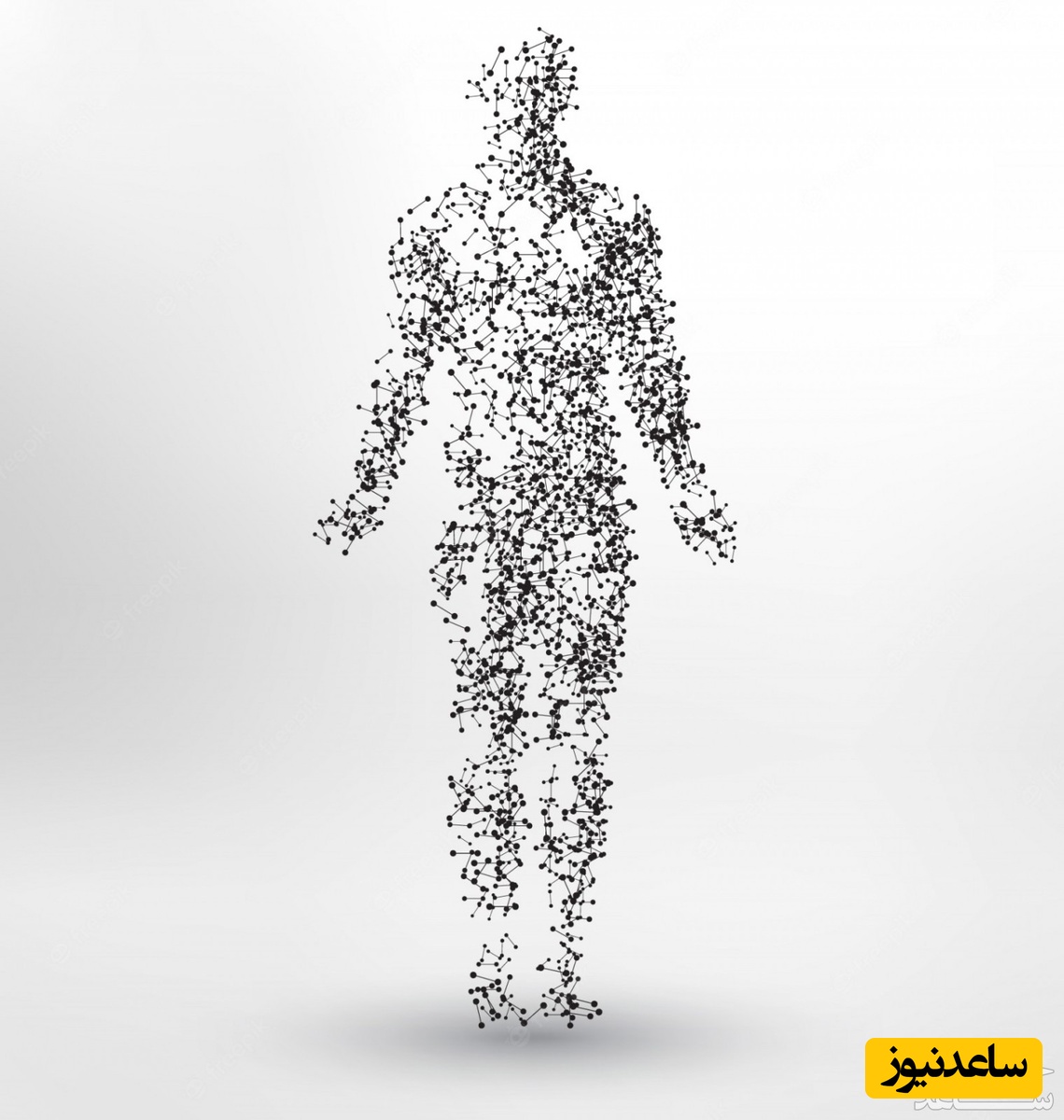 دیدن پیکر در خواب چه تعبیری دارد؟ / تعبیر خواب پیکر