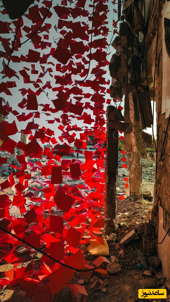 مدرسه شجره طیبه میناب