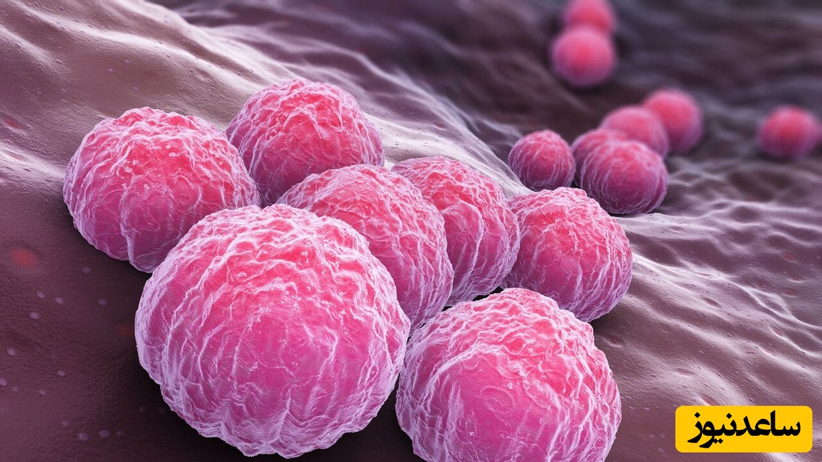 بهترین روش‌های درمان زگیل تناسلی در زنان و مردان