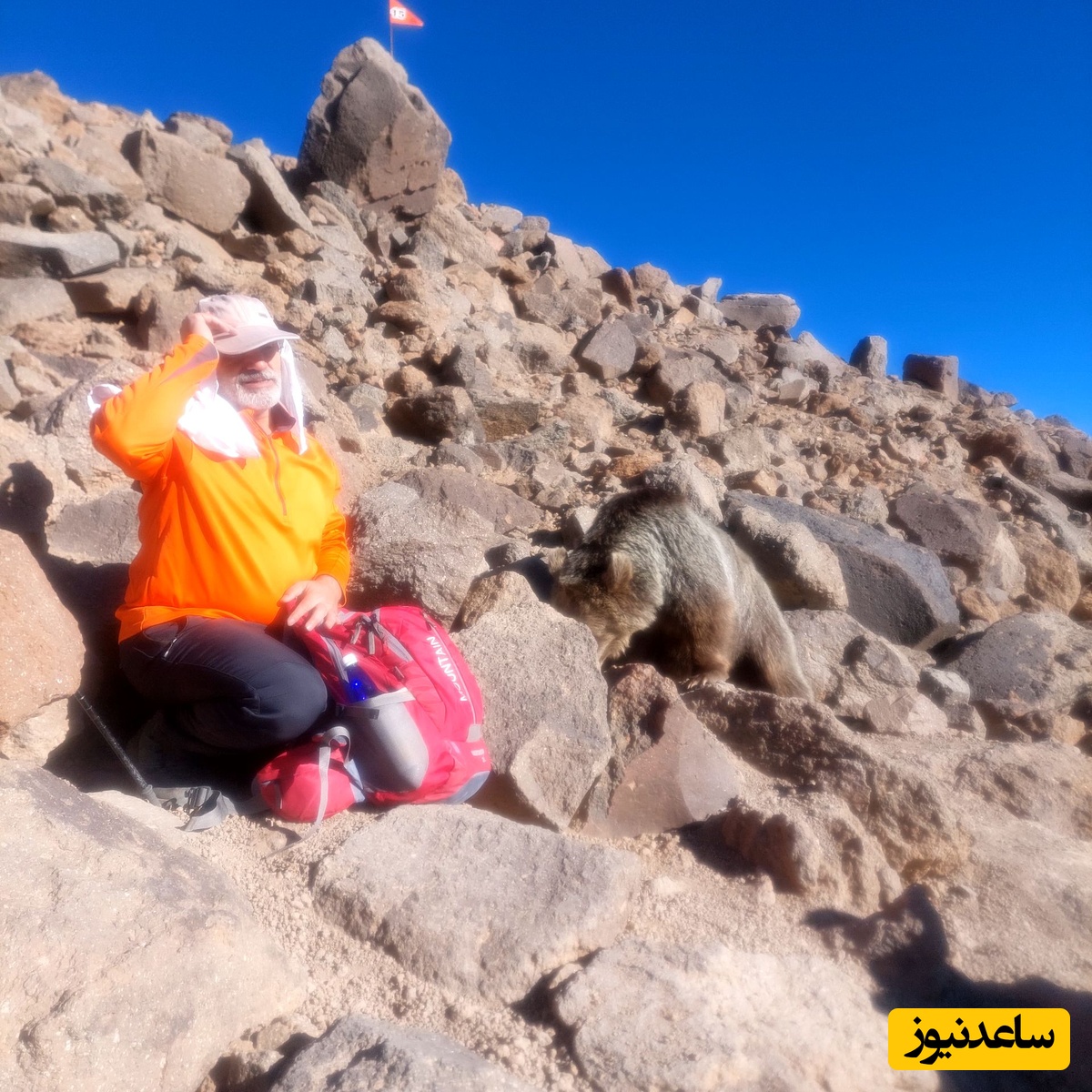 کوهنورد تبریزی  