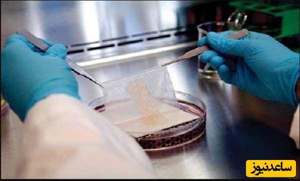 منابع دروس آزمون مهندسی پزشکی - بیومتریال و ضرایب آن در مقطع دکتری