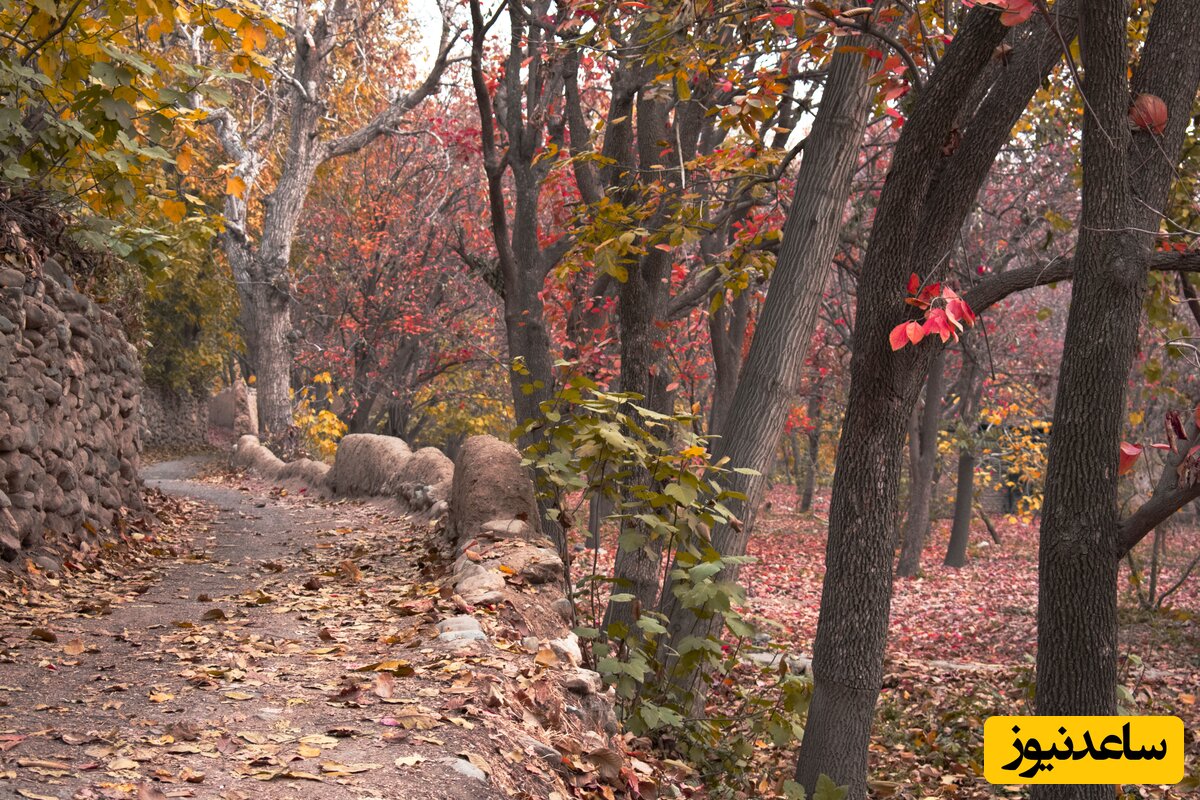 پاییز در کوچه های کن