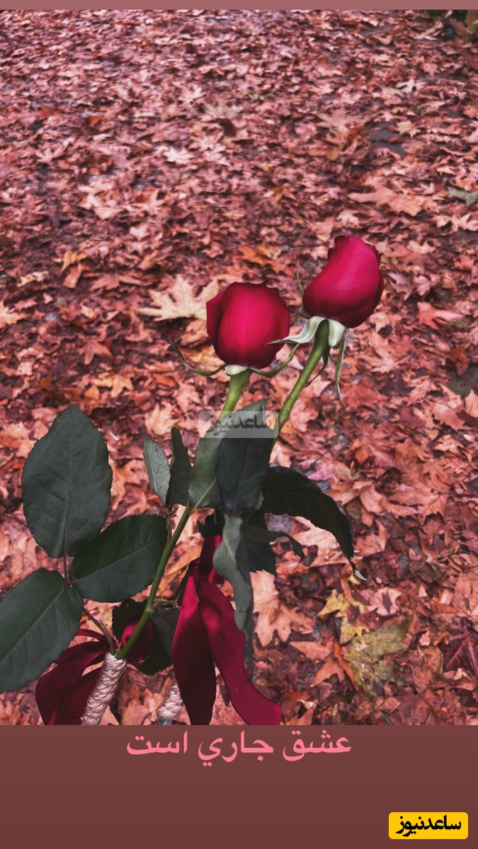  عکس پاییزی فریبا نادری