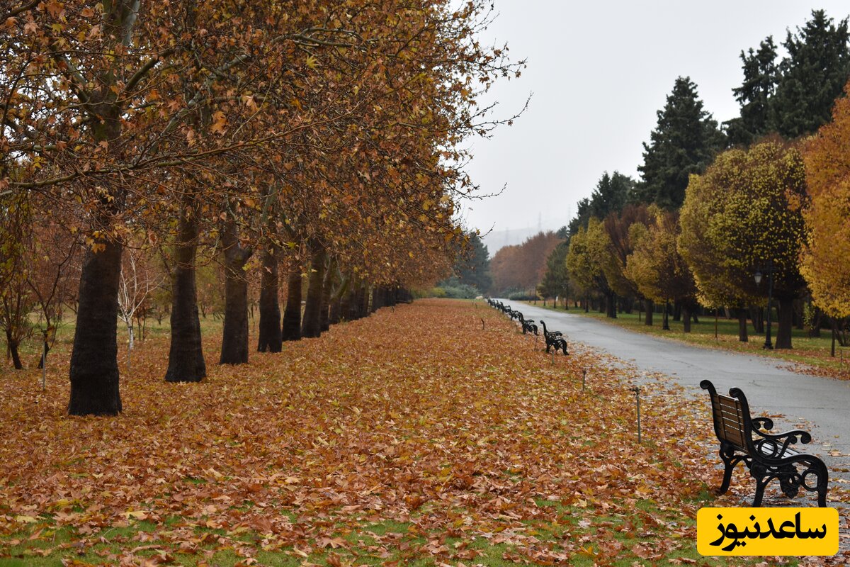 پاییز عاشق است