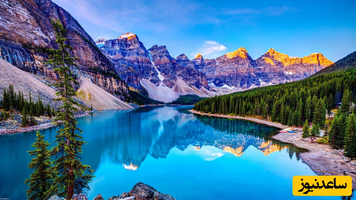 16 سورپرایز‌ جالب و خنده دار طبیعت! عجایب آفرینش رو از دست ندید!