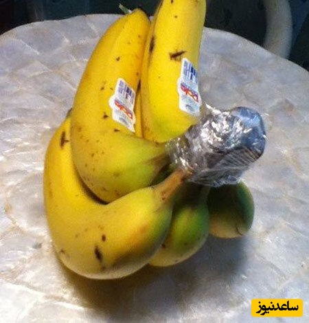 نگهداری از موز