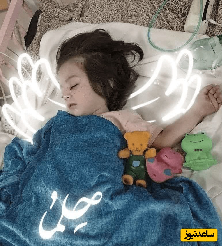 ببینید| حلما، دختری از تبار حیدر/ اولین دیدار با این طفلک مظلوم  در زیر بیرق امام رضا+ ویدیو